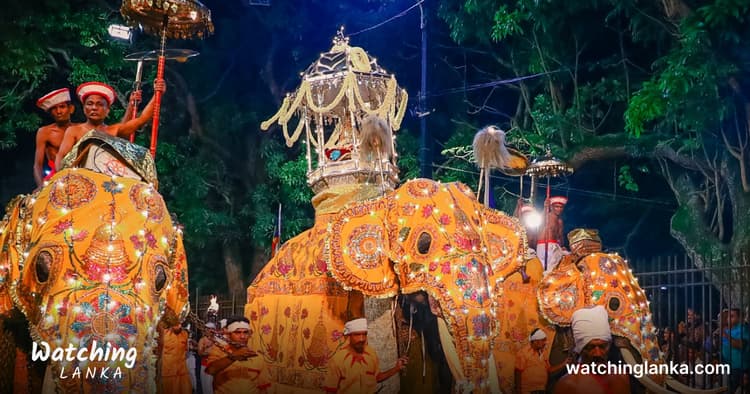 Kandy Perahera 2024 – A Colourful Festival in Sri Lanka