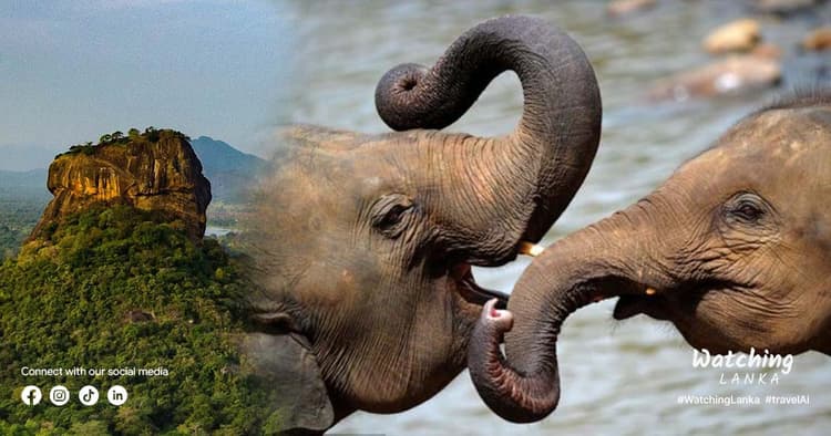 Our Perfect Two Weeks on Sri Lanka