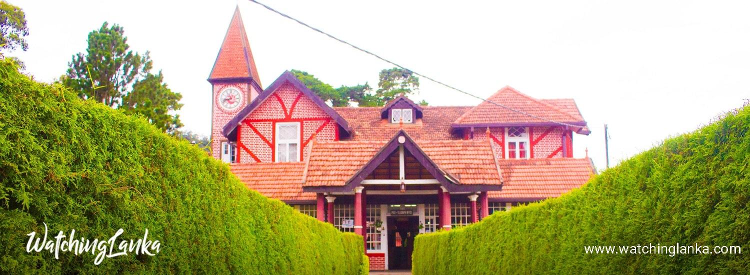 Main Image