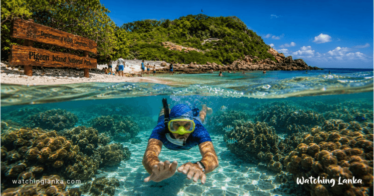 Everything You Need to Know About Pigeon Island National Park