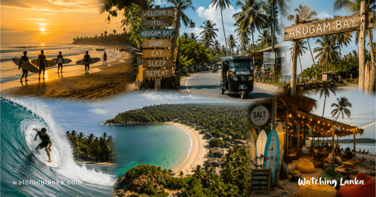 Best Things to Do in Arugam Bay: Surf, Food & Wildlife