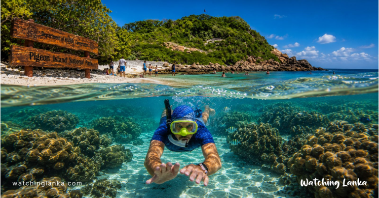 Everything You Need to Know About Pigeon Island National Park