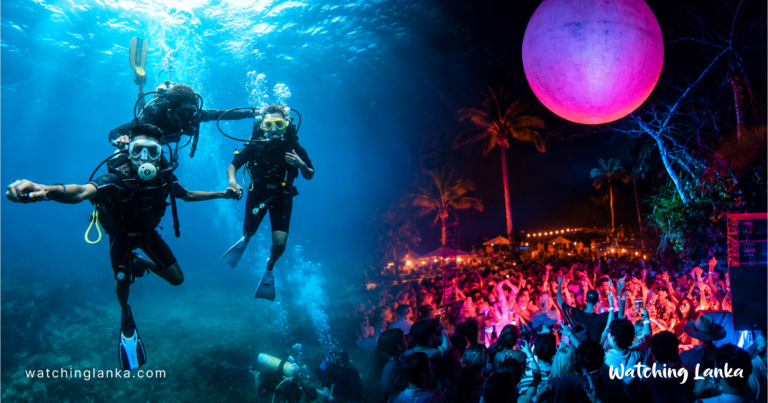 Mirissa Events: Best Surfing, Diving & Season Guide (2026)